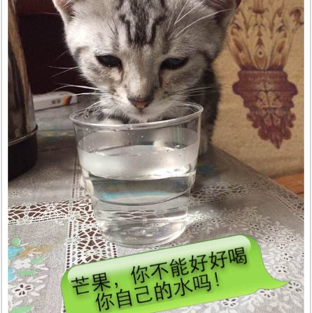 怎么购买宾州加利福尼亚大学文凭毕业证